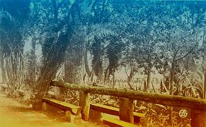 Ain-Temouchent 505- Jardins